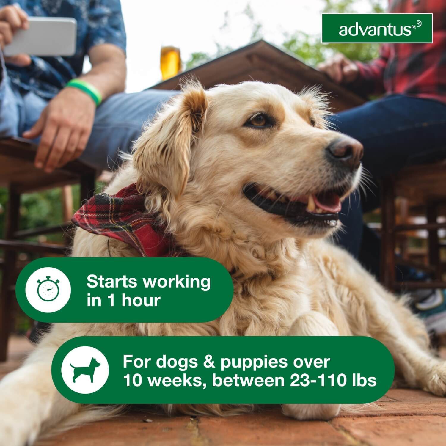 Advantus Chewable Oral Flea Treatment For Dogs, 23-110 Lbs