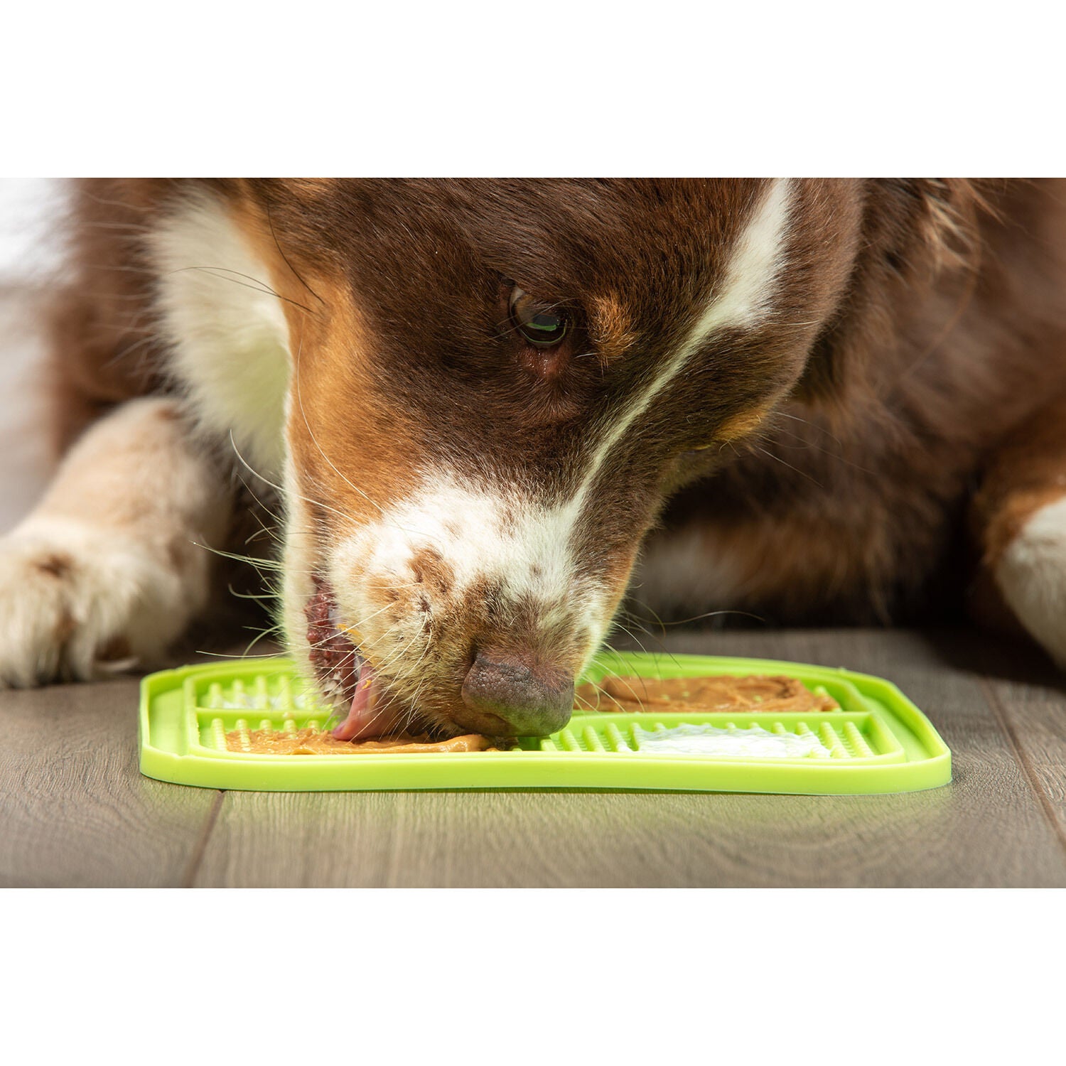 Pet Zone Boredom Busters Relax Slow Feeder Pet Licking Mat