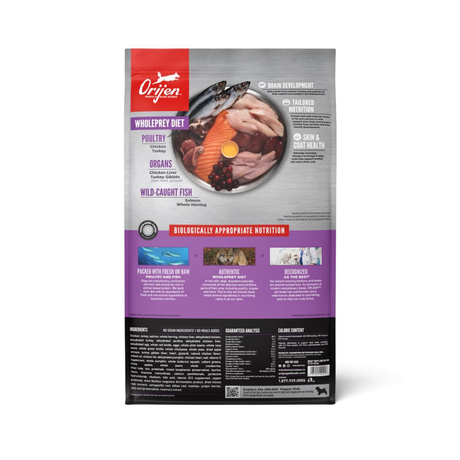 Orijen Large Breed Puppy Grain-Free High-Protein Dry Dog Food, 13-Lb