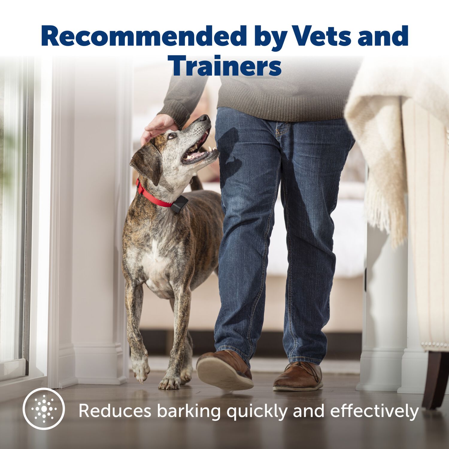 Petsafe Basic Bark Control Training Collar For Dogs, 8+ Lbs