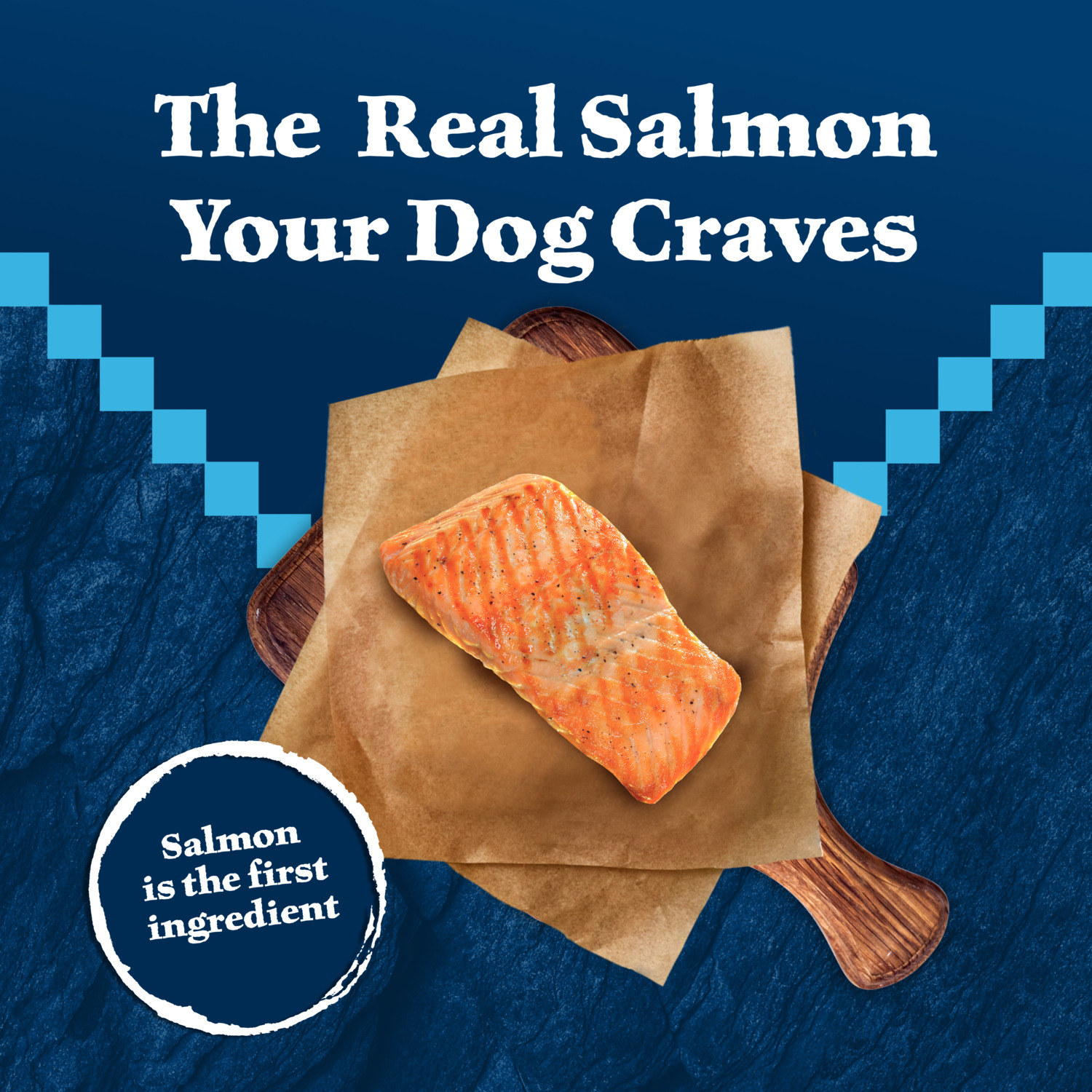 Blue Buffalo Wilderness High Protein Natural Adult Dry Dog Food Plus Wholesome Grains, Salmon, 24Lb