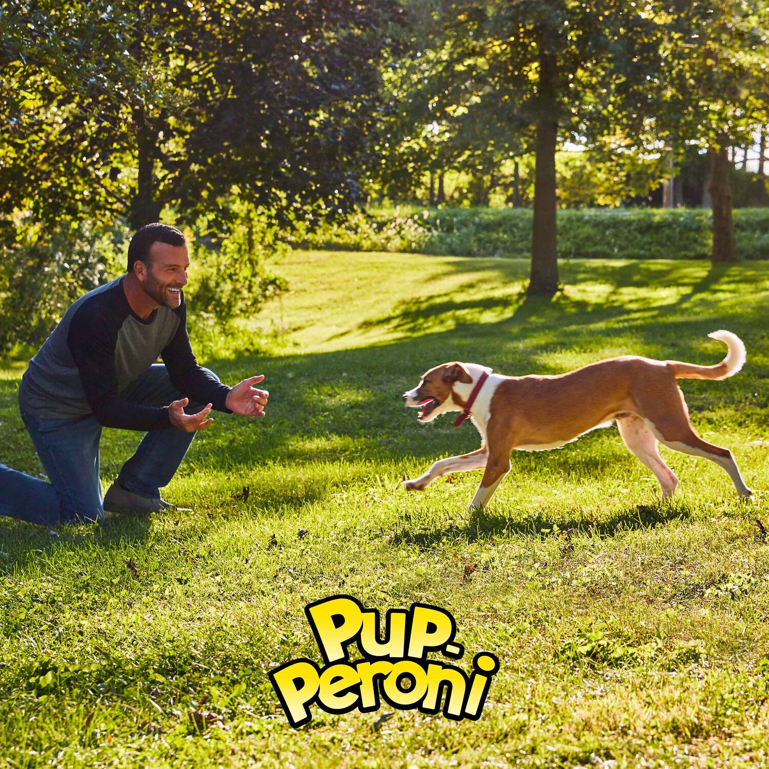 Pup-Peroni Filet Mignon & Bacon Flavor Soft & Chewy Dog Treats, 22.5-Oz Bag