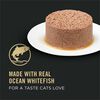 Focus Adult Classic Urinary Tract Health Formula Ocean Whitefish Entree Cat Food thumbnail number 16