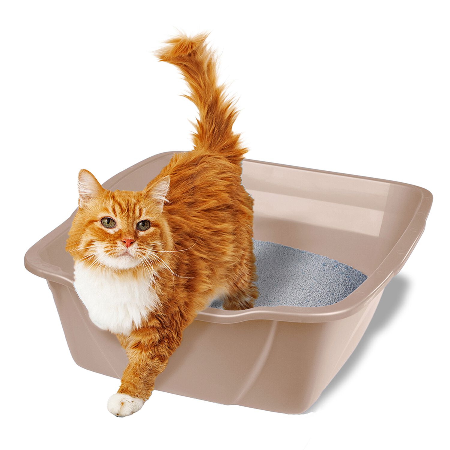 Van Ness Cat Litter Pan, Mocha Beige-Giant