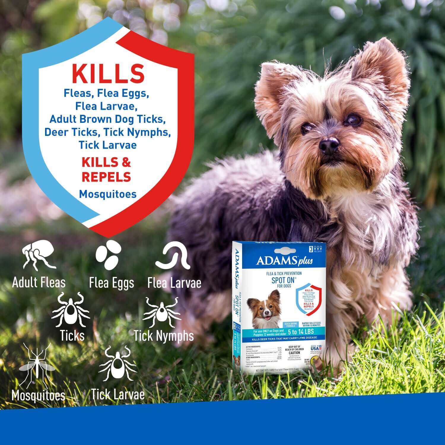 Adams Plus Flea & Tick Prevention Spot On For Dogs, Small Dogs 5-14 Lbs