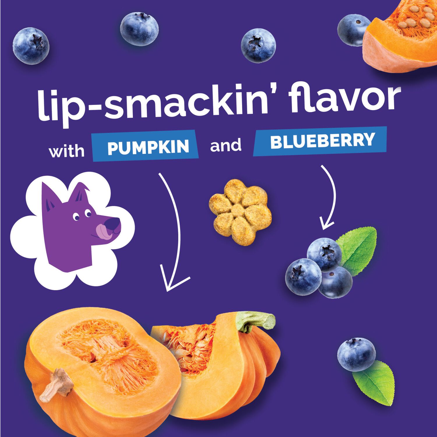 Fruitables Low Calorie Baked Crunchy Dog Treats, Pumpkin & Blueberry, 12-Oz Bag