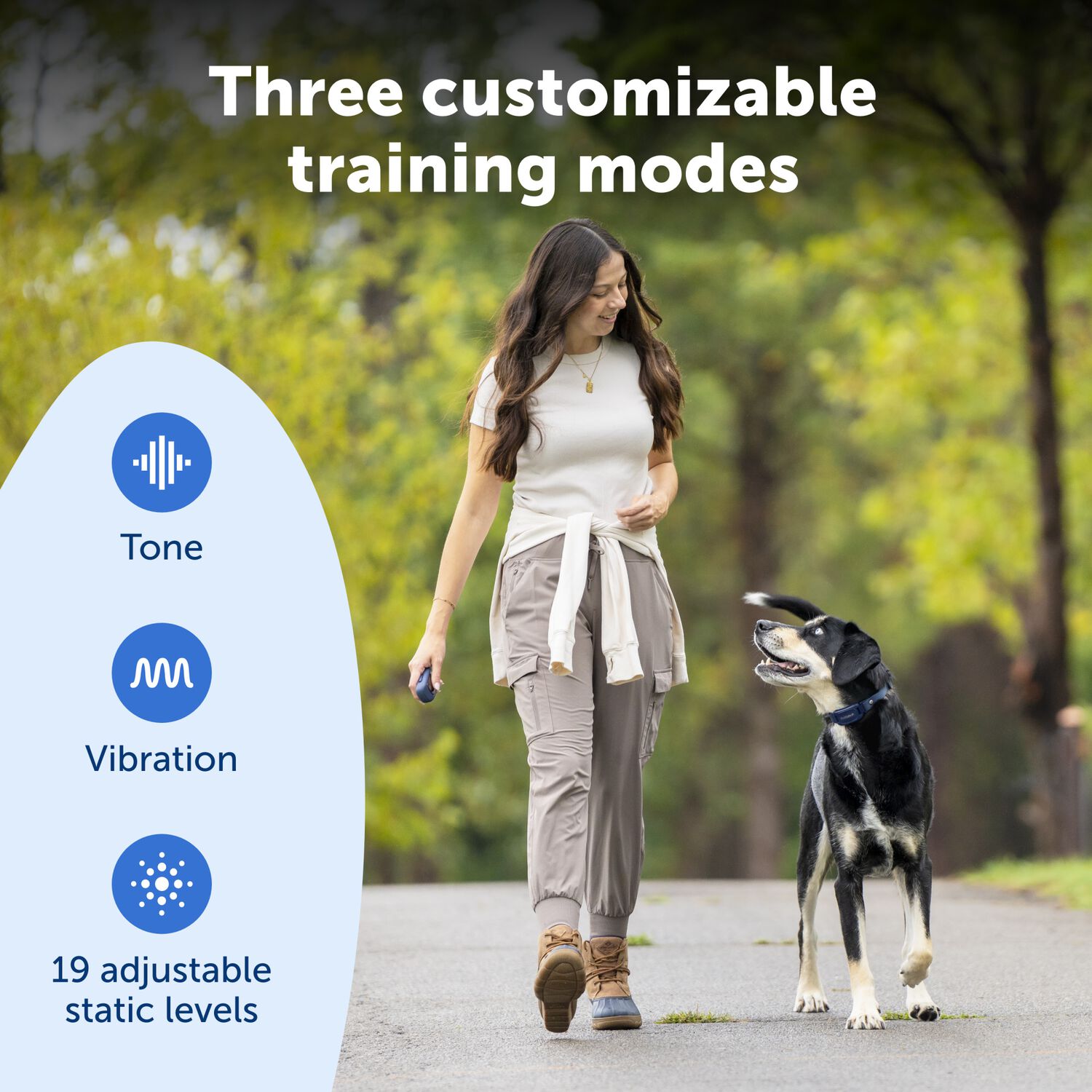 Petsafe Pro Dog Trainer With Remote, Waterproof Dog Training Collar 1000 Ft Range, Sleek Remote Training Collar