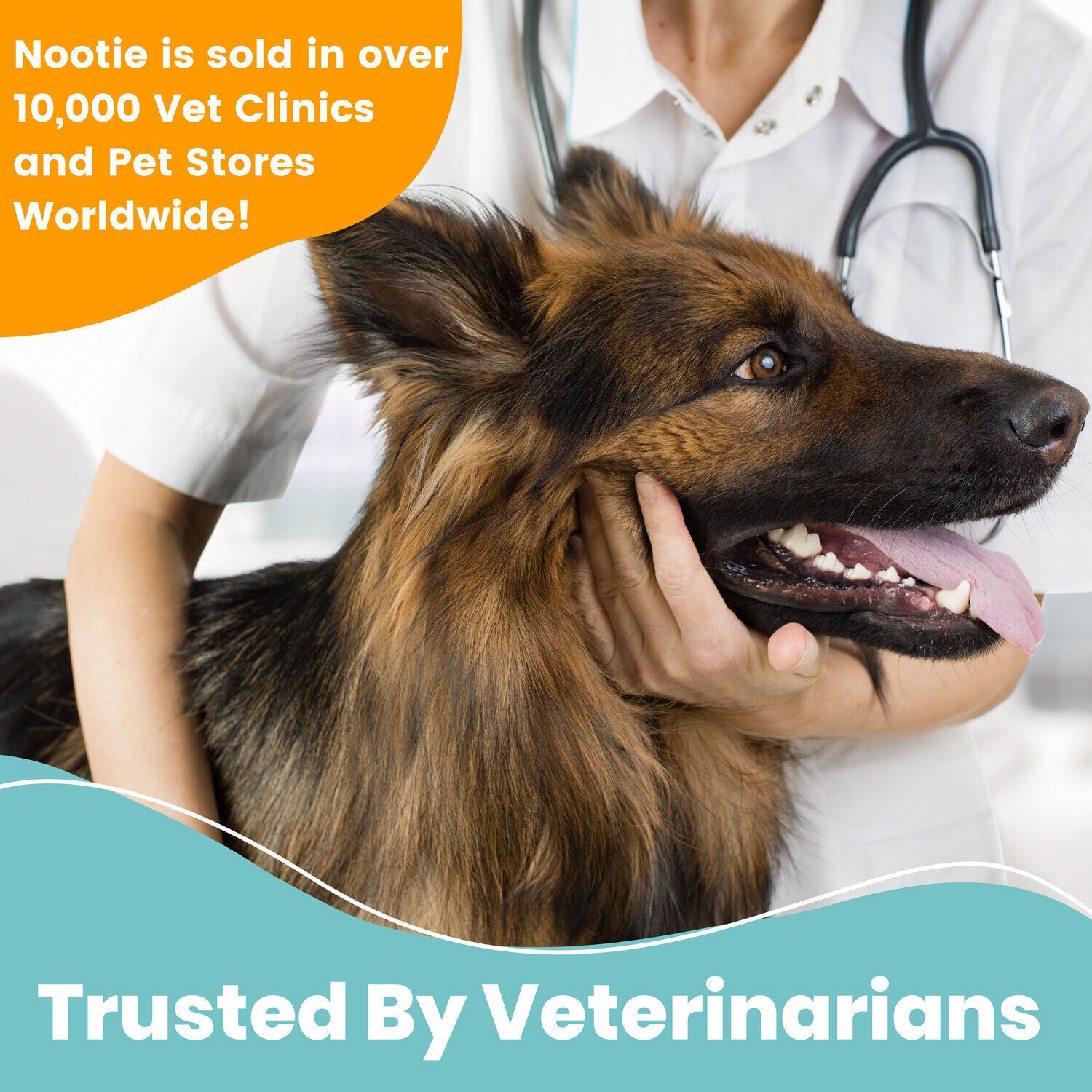 Progility Pre & Probiotics With Enzymes Soft Chew Dog Supplement, 90Ct