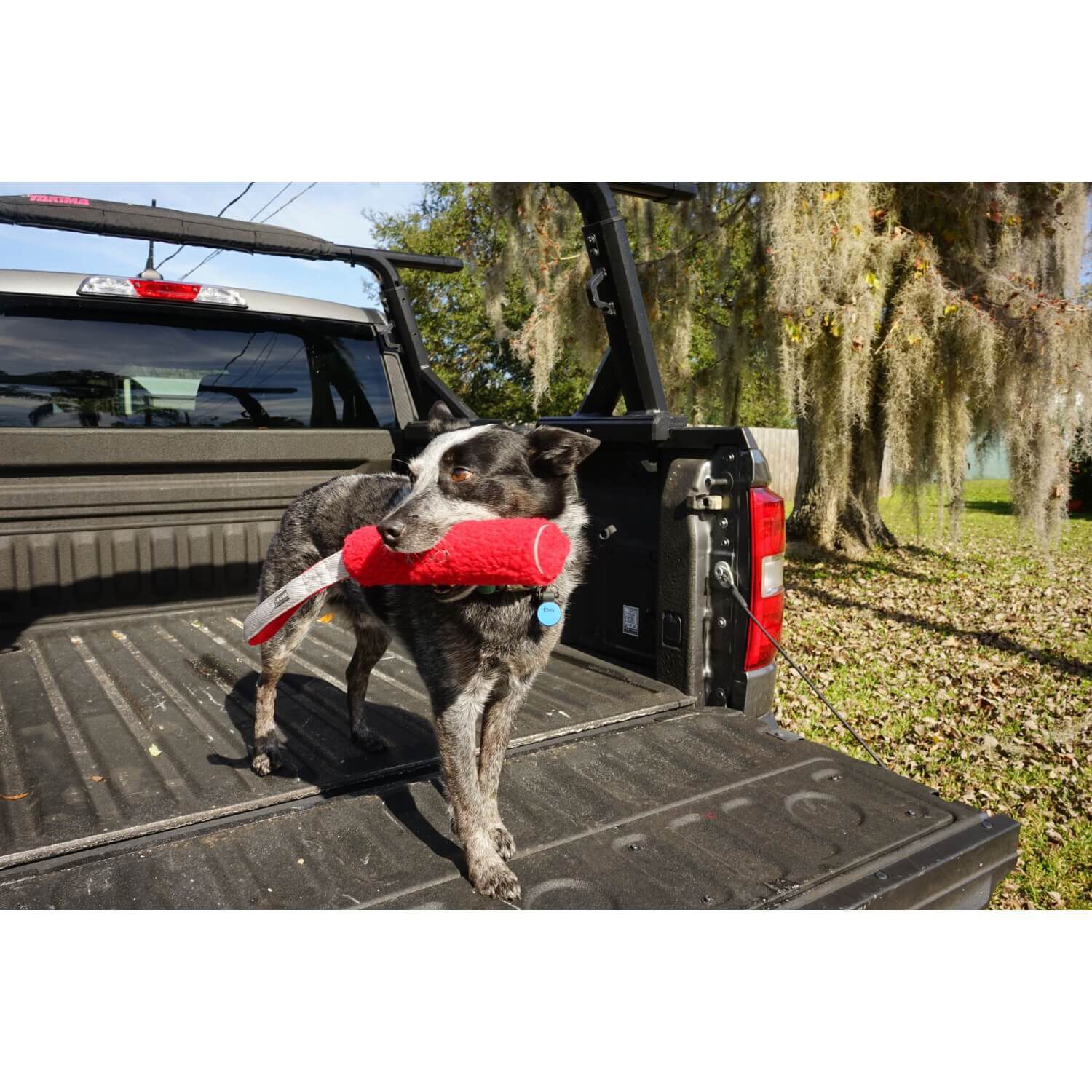 N-Gage Cozy Bumper Regular Squeaky Tug & Fetch Dog Toy - Red