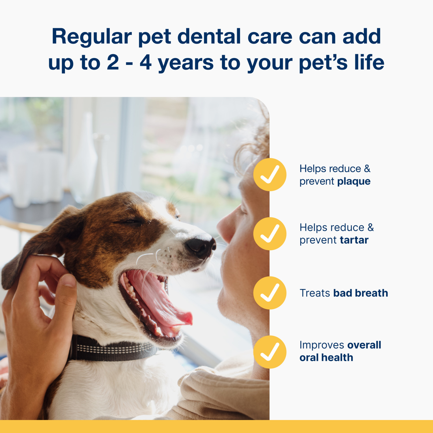 Proden Plaqueoff Powder Dog Dental Health Supplement, 2.1-Oz Bottle