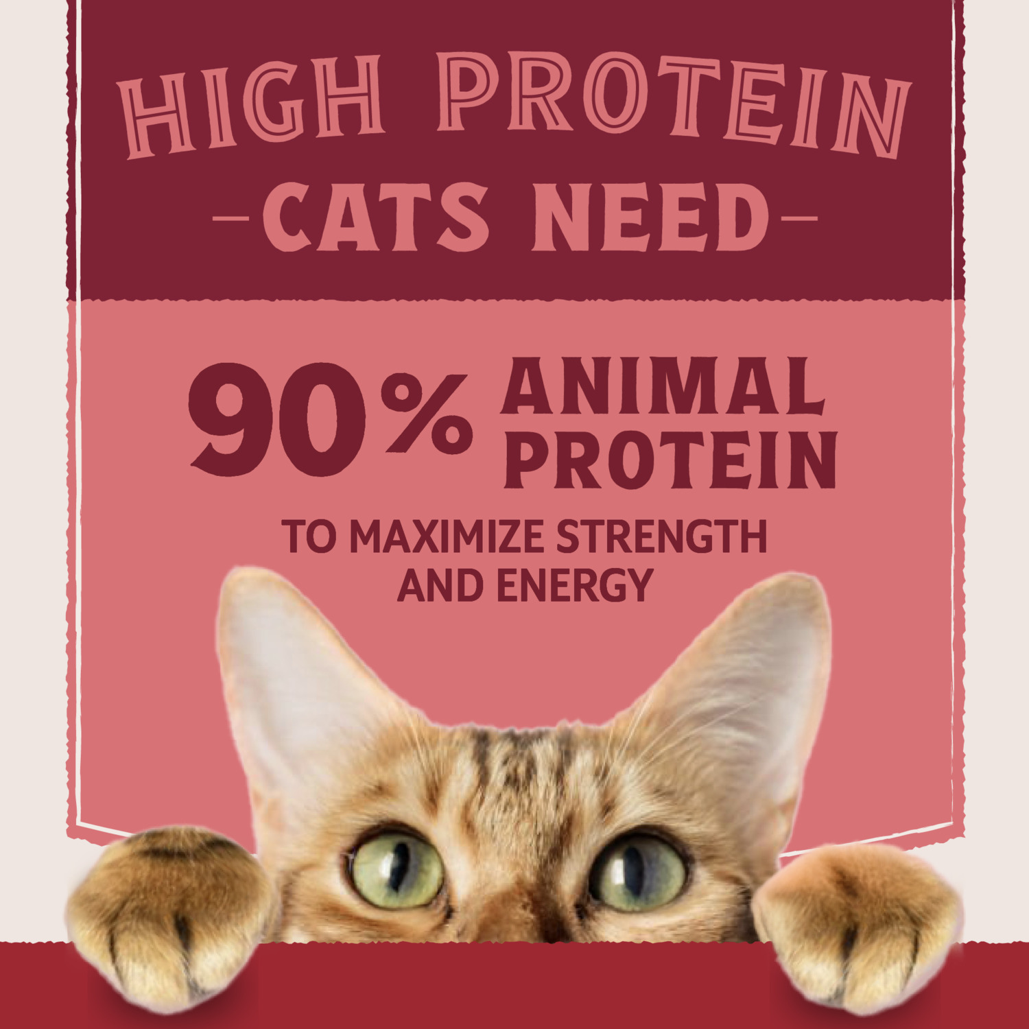 Natural Balance Ultra Protein Wet Cat Food, Real Salmon Recipe With Protein-Rich Organs Pate, 2.8-Oz Pack Of 24