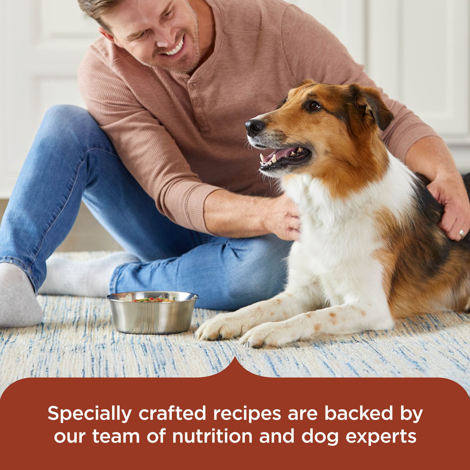 Rachael Ray&reg; Nutrish&trade; Savory Favorites Variety Pack Wet Dog Food, 8-Oz Pack Of 6