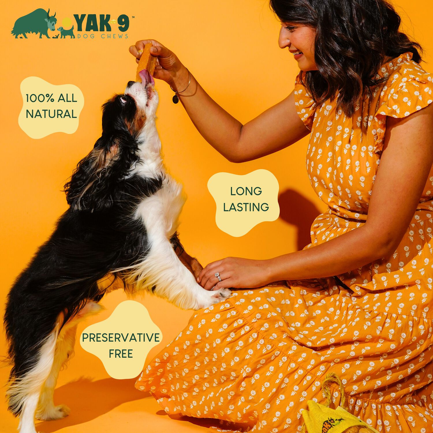Yak9 Chews Natural Yak Cheese Chews Dog Treats, Pumpkin, Small, 3-Pack