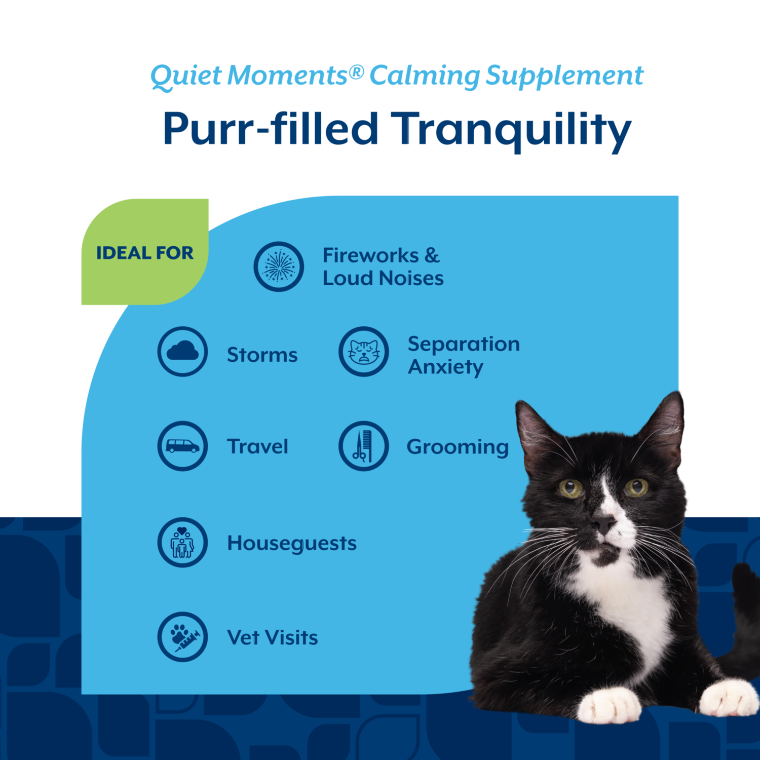 Naturvet Quiet Moments Calming Aid Cat Soft Chews With Melatonin