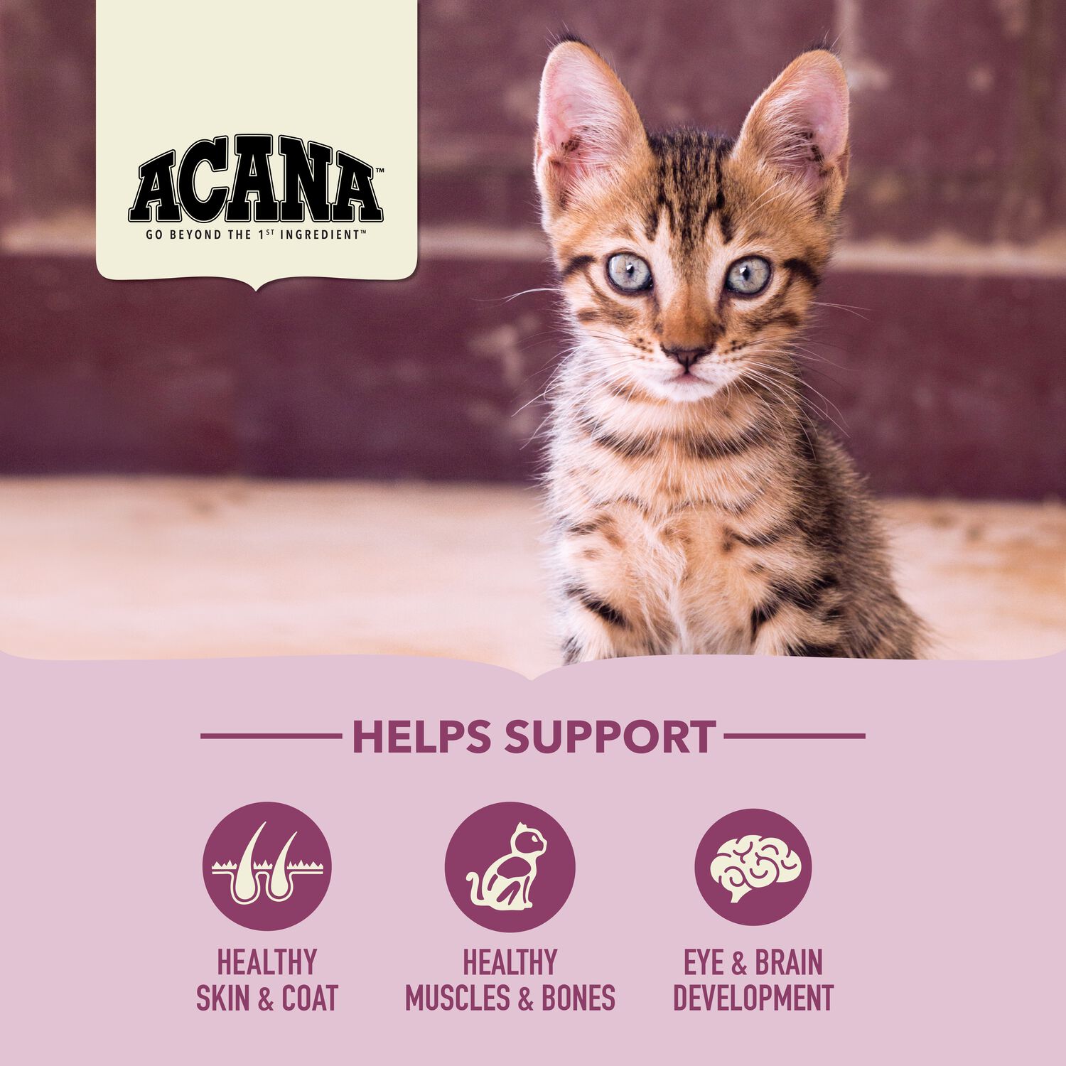 Acana First Feast, Chicken And Fish Dry Cat Food For Kittens, 4-Lb Bag