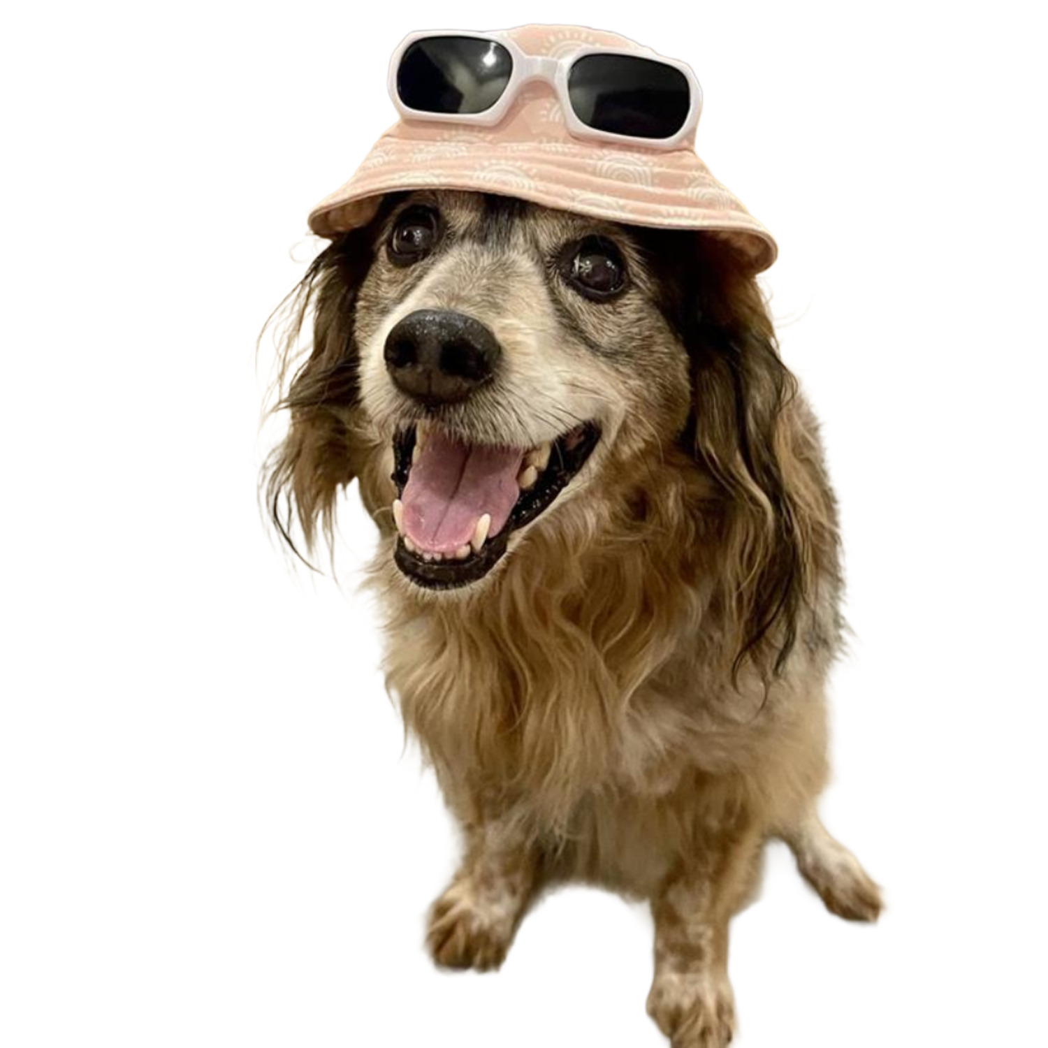 Bailey & Bella Pink Arches Sunglasses Dog Bucket Hat