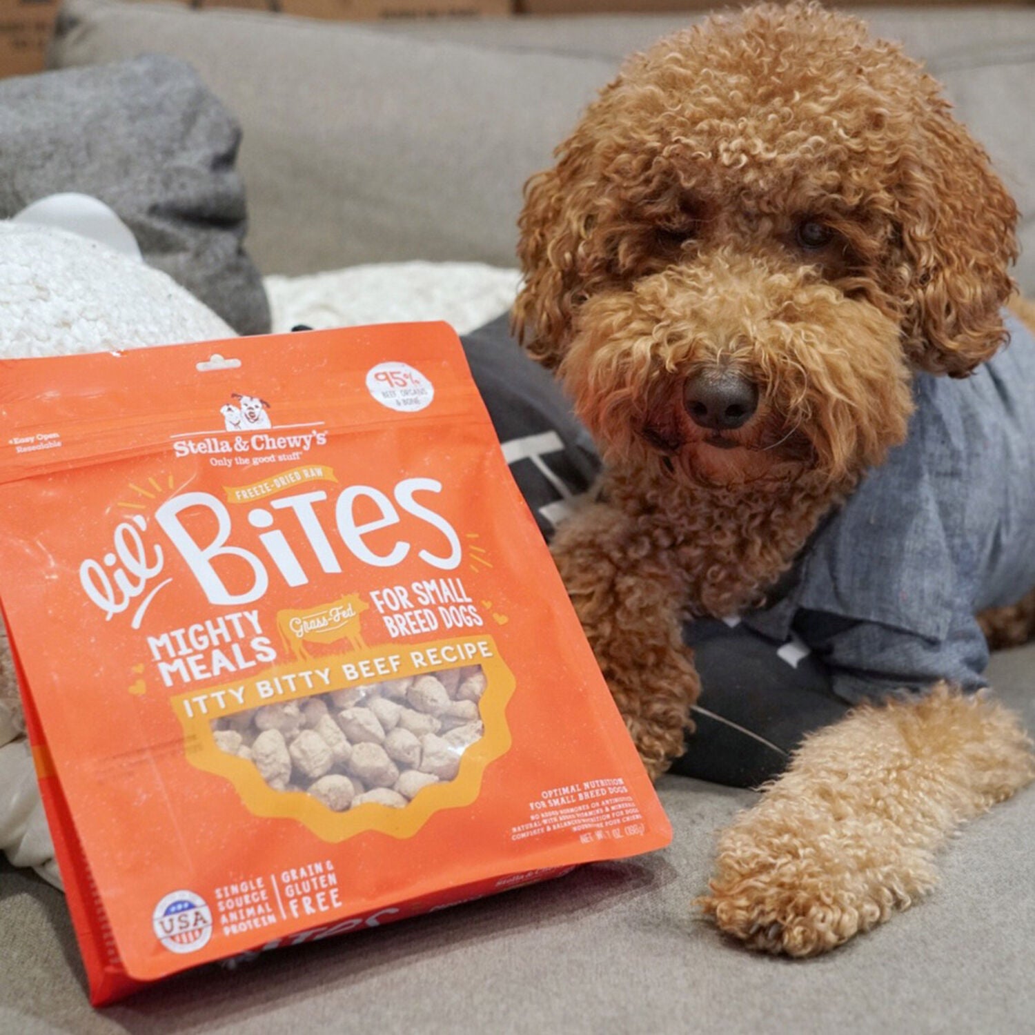 Stella & Chewy's Lil' Bites Freeze-Dried Raw Dog Food For Small Breed Dogs, Itty Bitty Beef Recipe, 7-Oz Bag