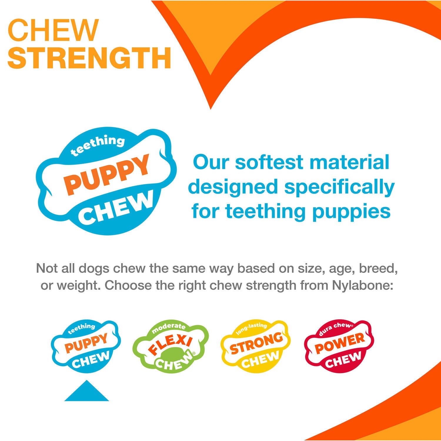  Nylabone Puppy Teething & Soothing Flexible Dog Chew Toy, Chicken Flavor, Blue X-Small/Petite - Up To 15-Lbs