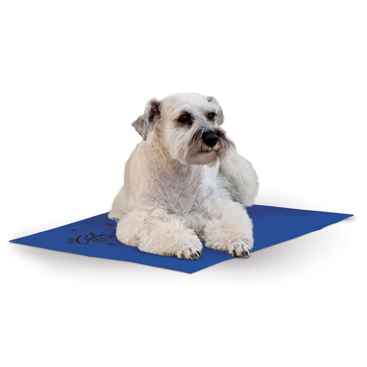 Coolin pet pad clearance