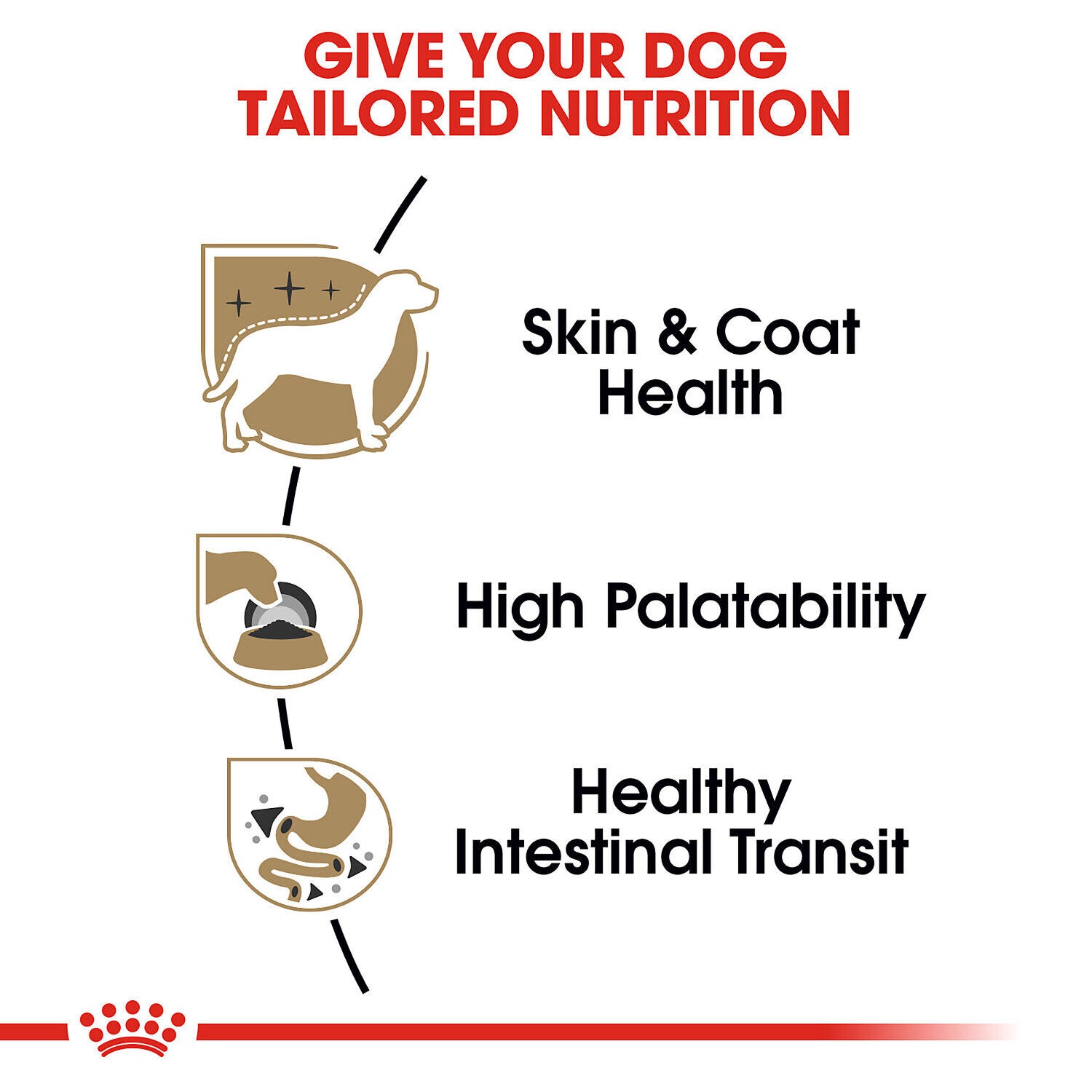Royal Canin Breed Health Nutrition&reg; Chihuahua Loaf In Sauce Adult Wet Dog Food, 3 Oz - 6 Pack