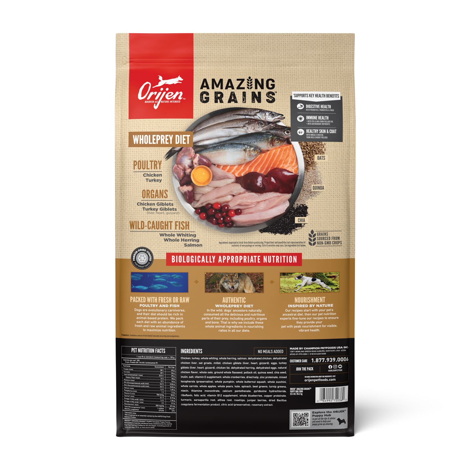 Orijen Amazing Grains Puppy High-Protein Dry Dog Food, 22.5-Lb Bag