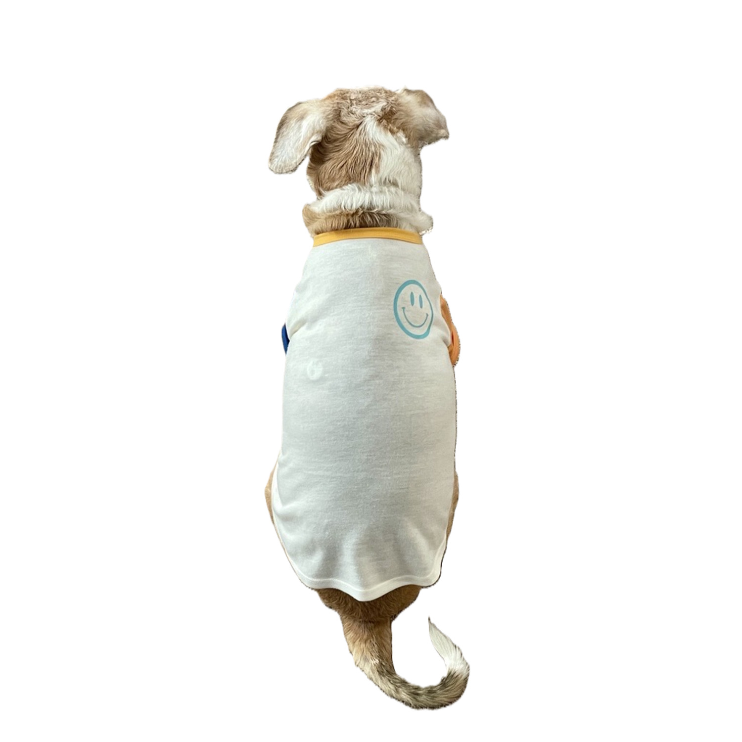 Bailey & Bella Tan Color Block Smiley Dog T-Shirt
