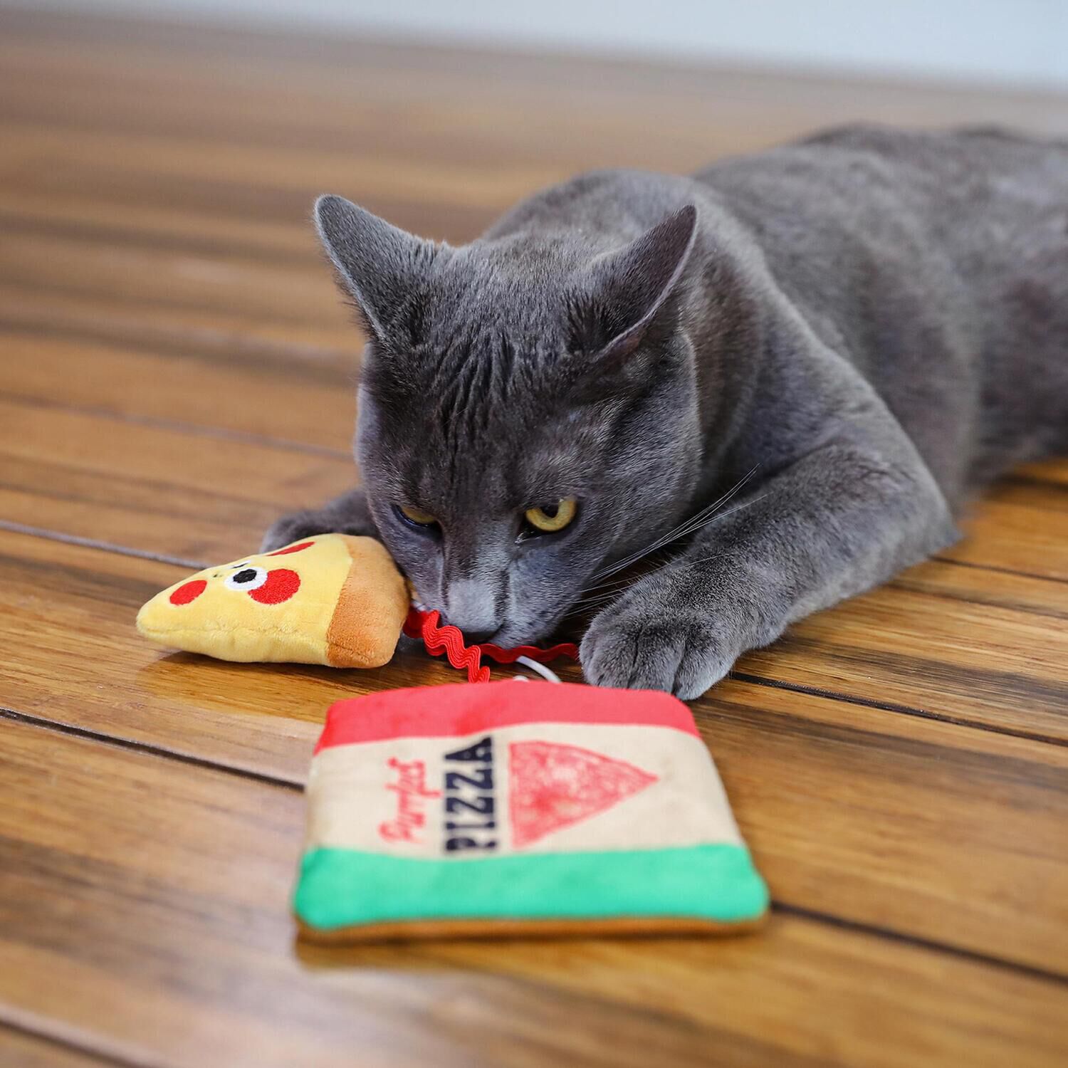 Mad Cat Purrfect Pizza Puzzle Interactive Cat Toy