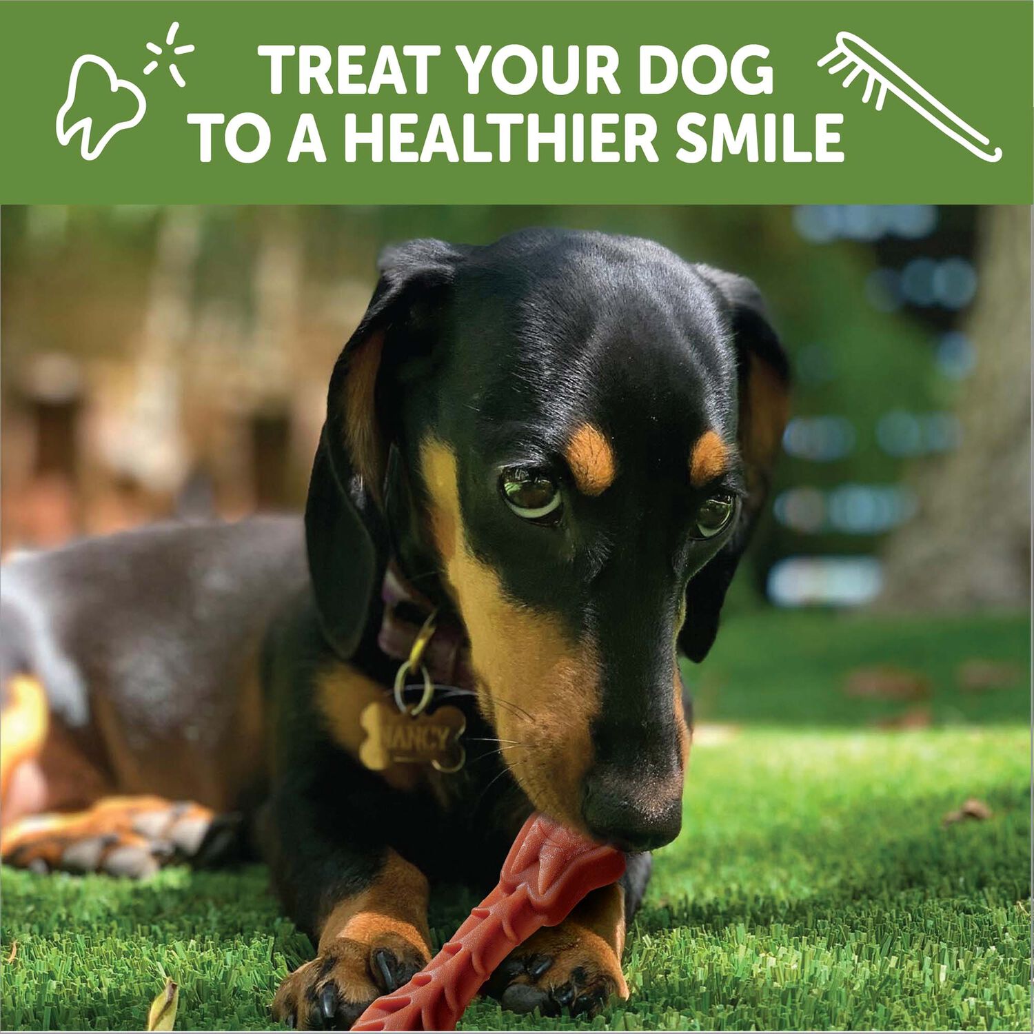 Whimzees Brushzees Natural Grain-Free Dental Dog Treats, Extra Small, 1 Count