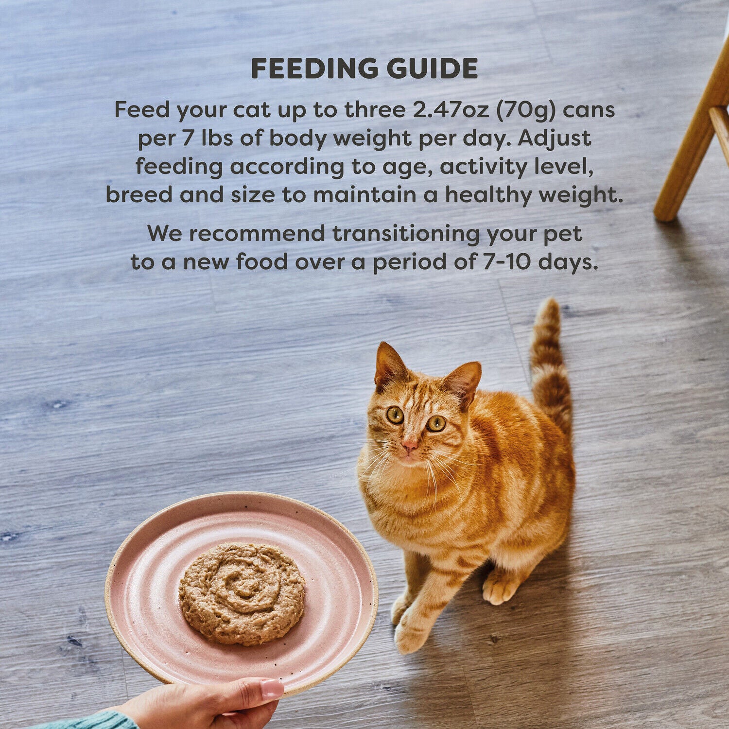 Applaws&trade; Vitality Natural Adult Wet Cat Food With Added Vitamins & Minerals, Tuna Fillet & Mackerel P&acirc;t&eacute; Recipe In Broth, 2.47-Oz