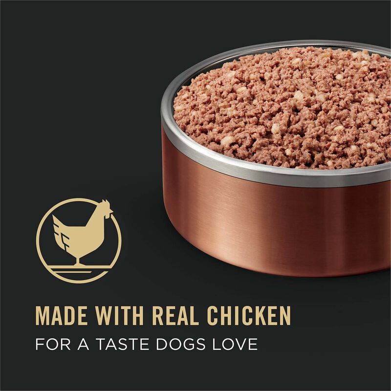 Savor Adult Classic Chicken & Rice Entree Dog Food