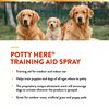 Natur Vet Potty Here Dog Training Aid