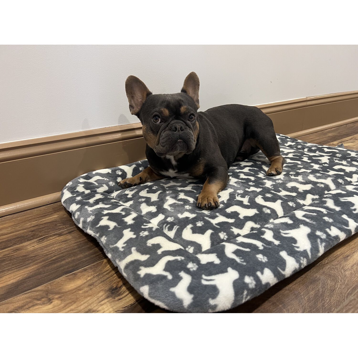 Territory Dog Crate Mat, Gray, Extra Large - 42" X 28"