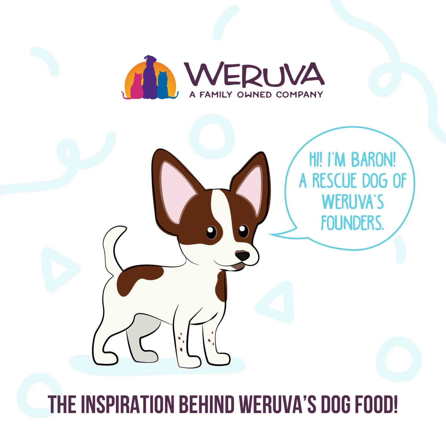 Weruva Dog Meals 'N More Natural Paw Lickin&rsquo; Chicken Recipe Plus Skin & Coat Health Wet Dog Food