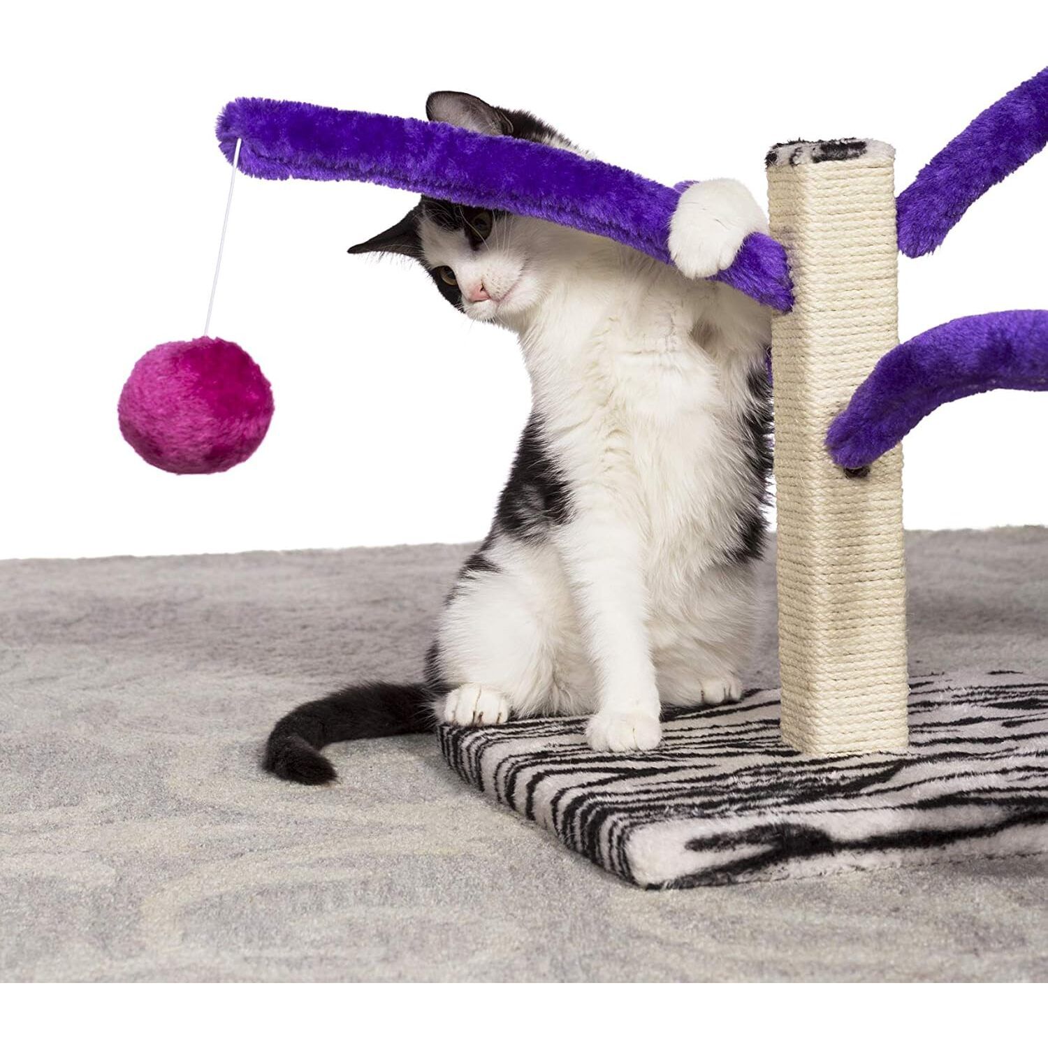 Prevue Pet Products Bounce 'N Spring Cat Scratcher, Multi-Color