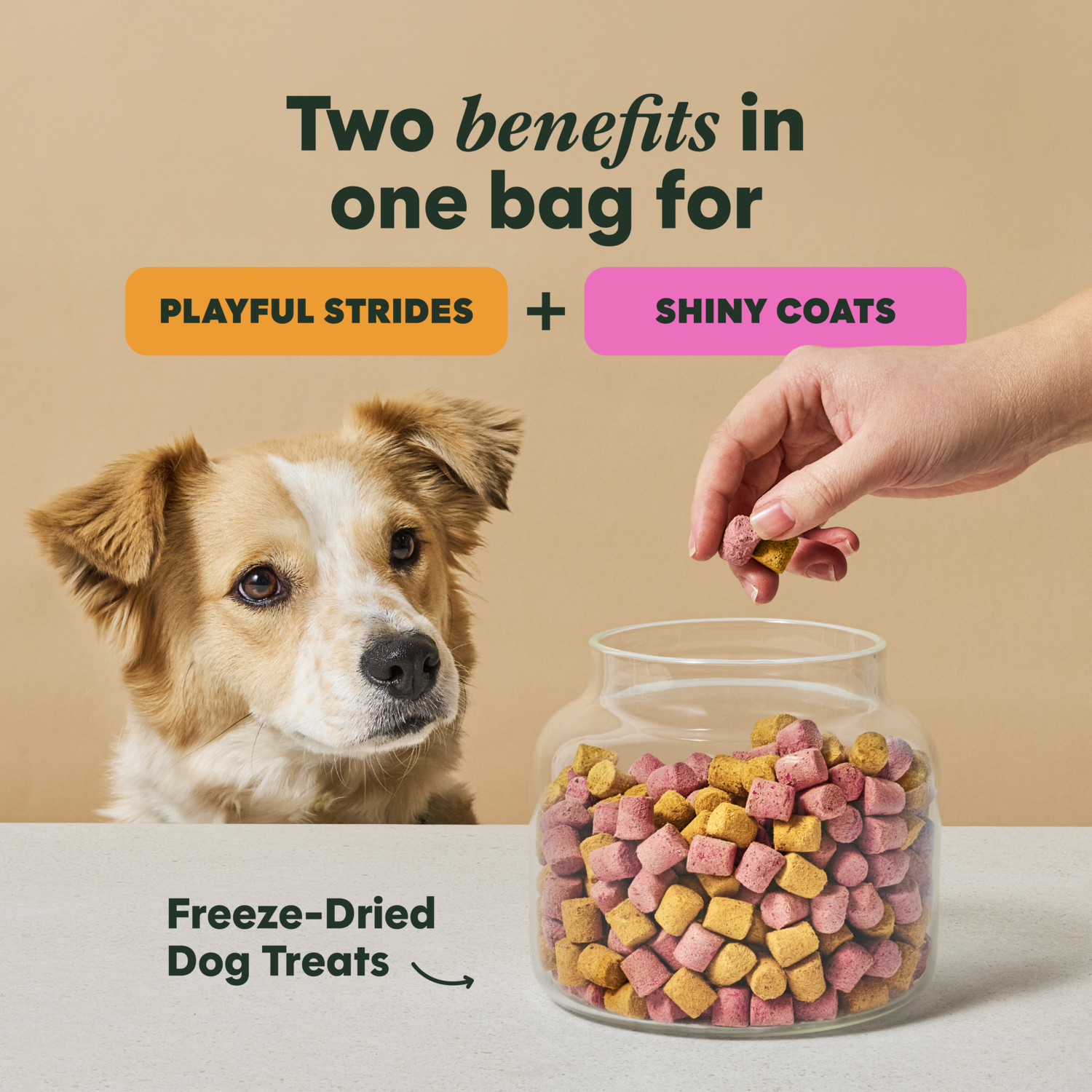 Instinct Duos Movin' & Groovin' 2:1 Healthy Mobility + Skin & Coat Health Freze-Dried Dog Treats, 4-Oz