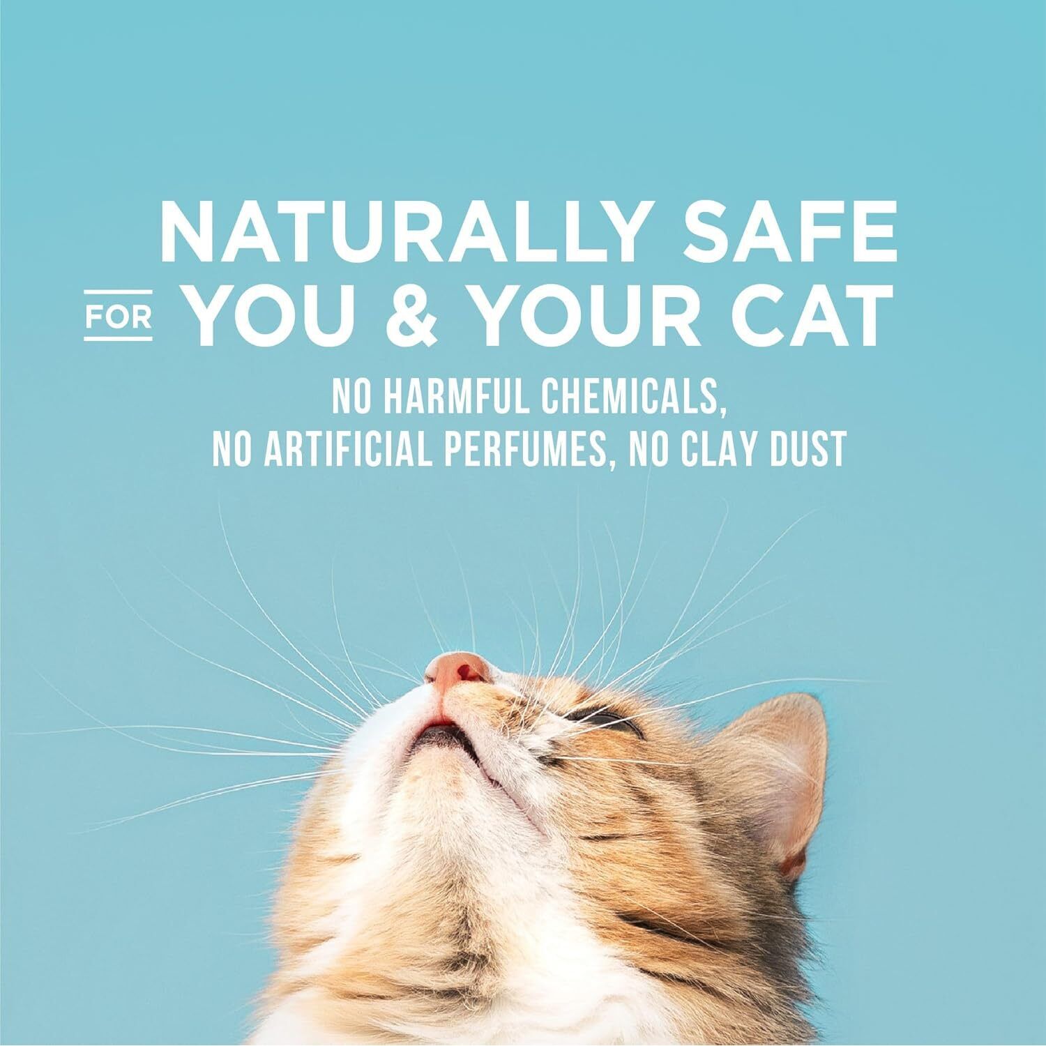 World's Best Poop Fighter Maximum Odor Defense Clumping Cat Litter, 15-Lb Bag