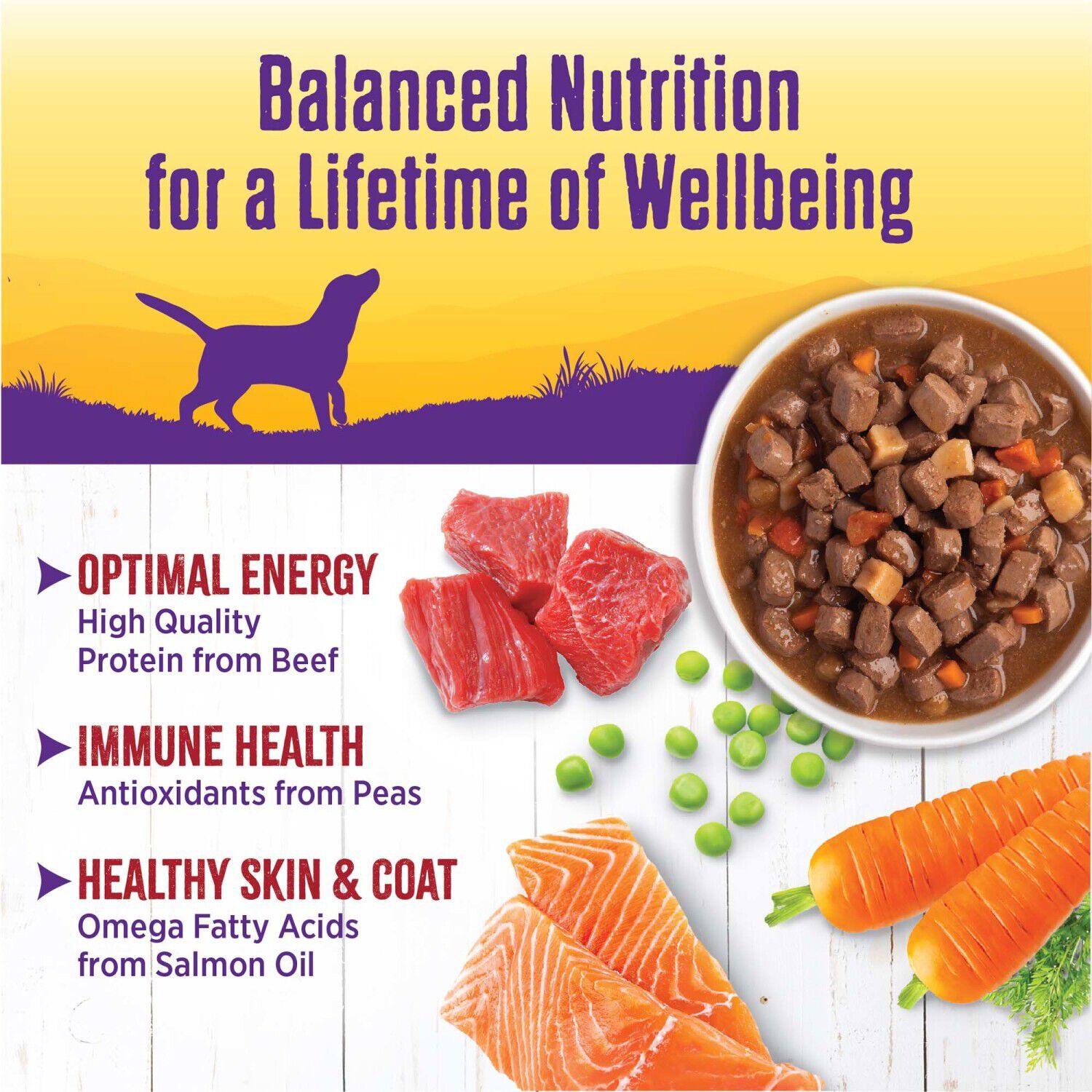 Wellness Complete Health Grain Free Canned Wet Dog Food, Beef Stew, 12.5-Ounce Can Pack Of 12