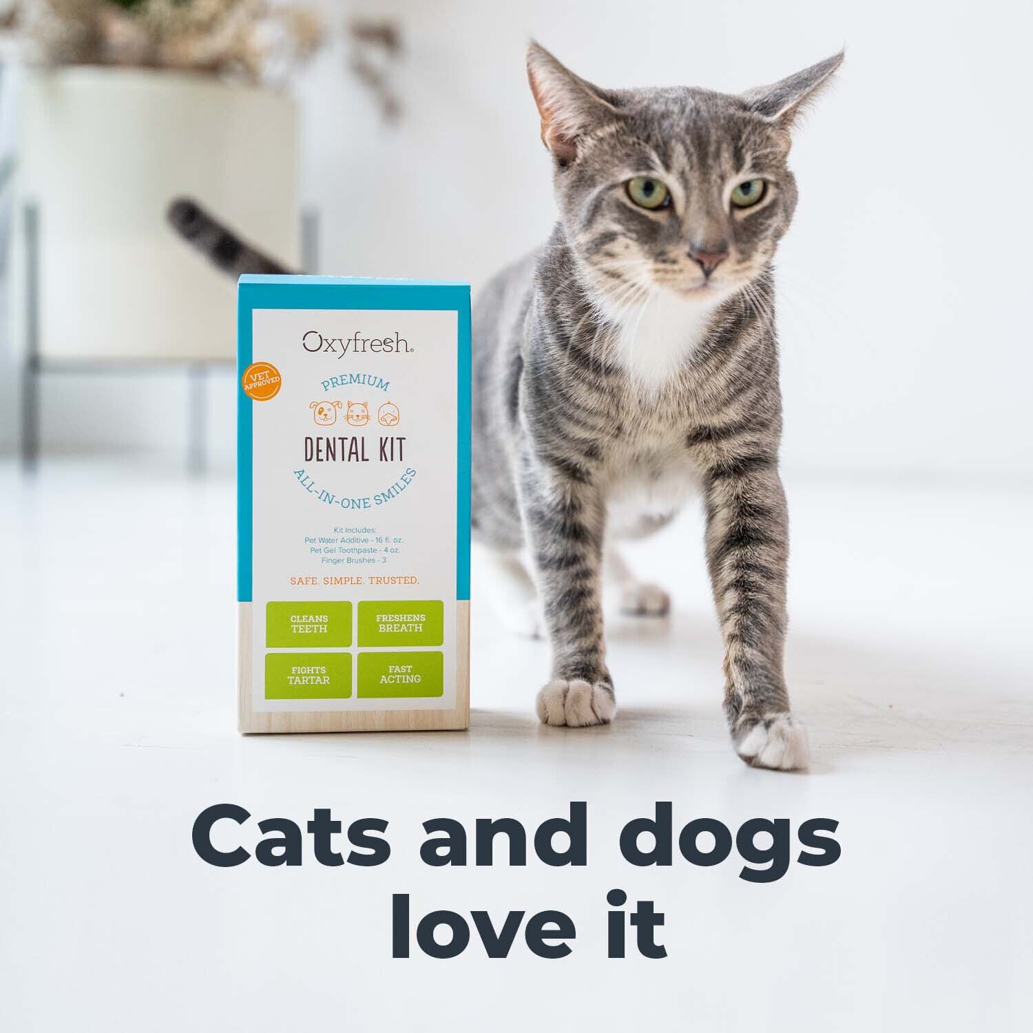 Oxyfresh Premium Dog & Cat Dental Care Kit