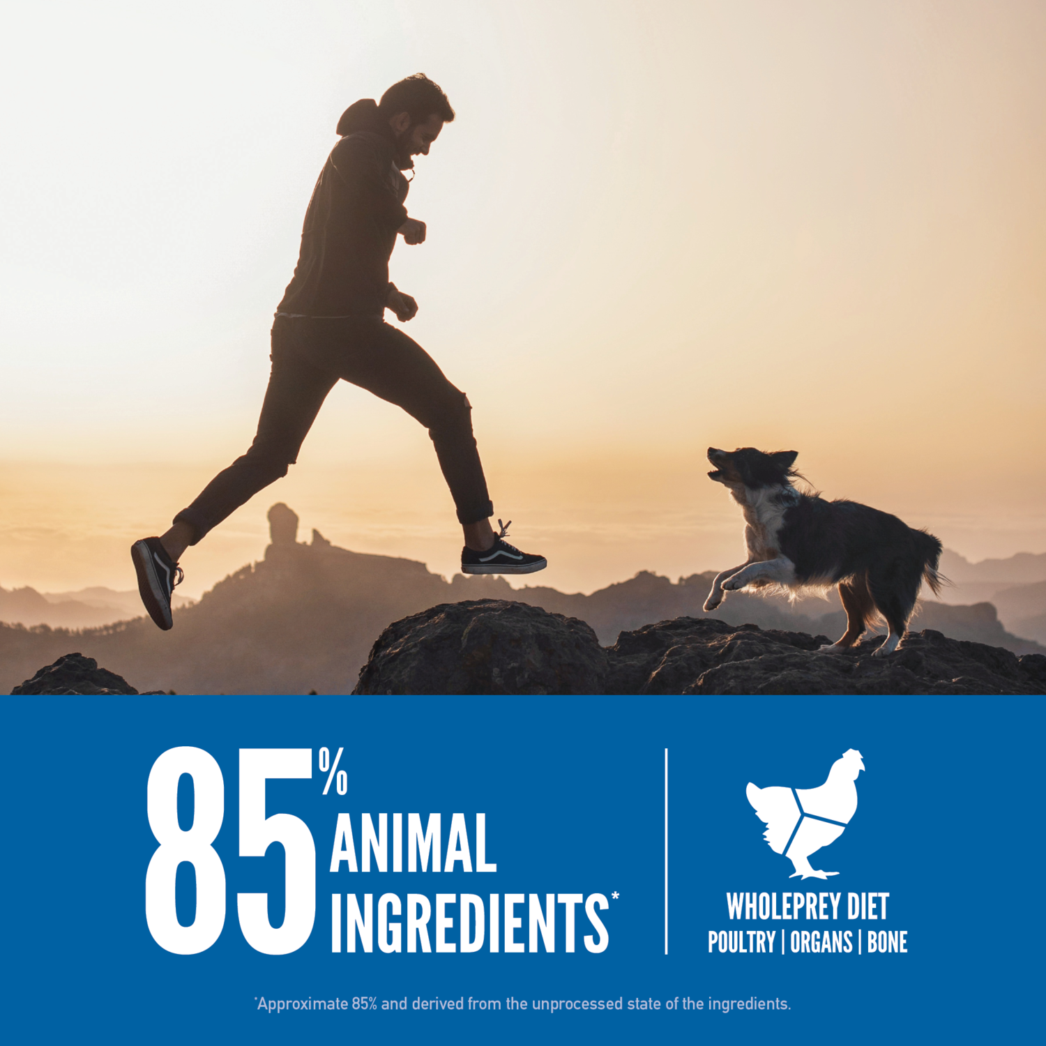 Orijen Original Grain-Free High-Protein Dry Dog Food, 23.5-Lb Bag