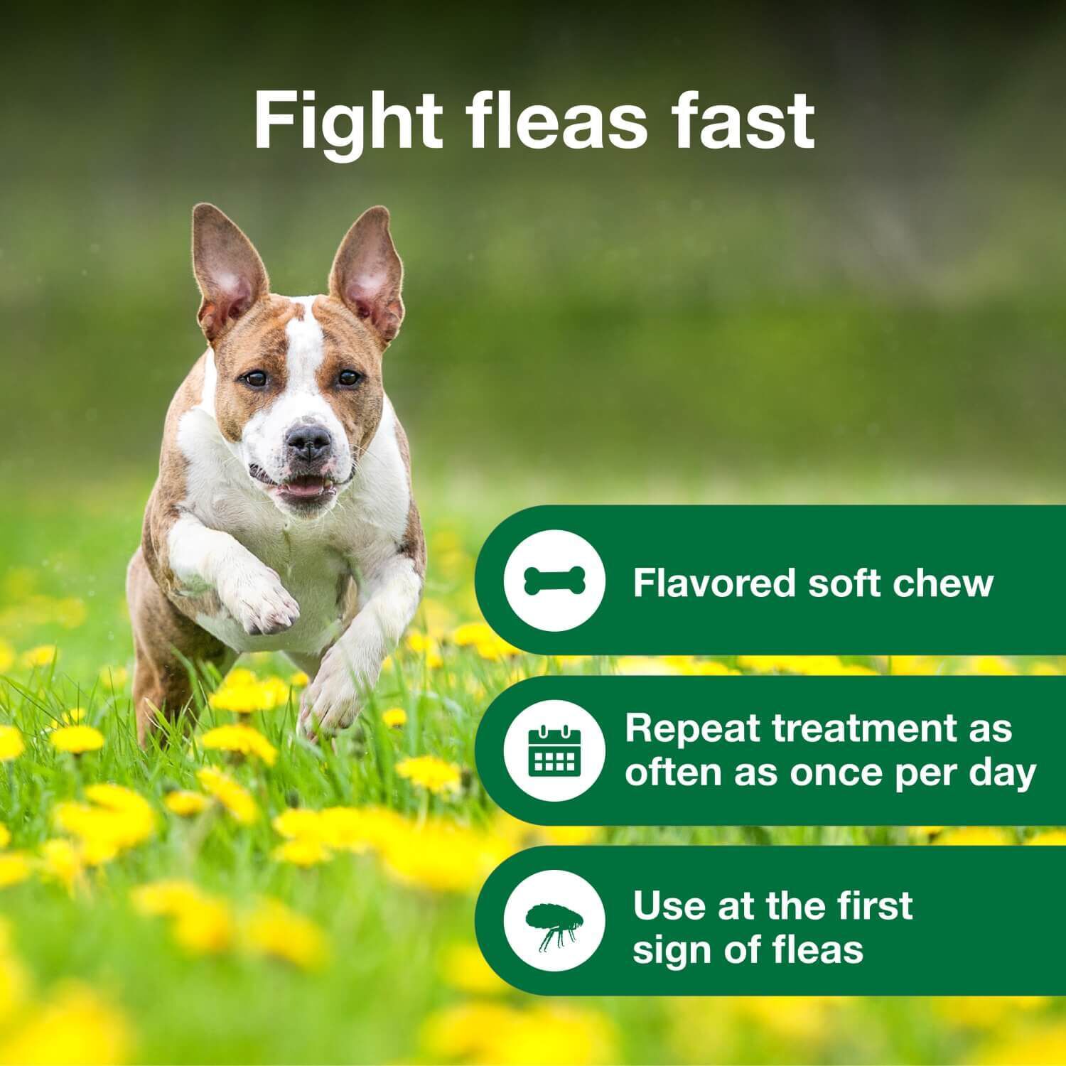 Advantus Oral Flea Treatment For Dogs, 4-22 Lbs