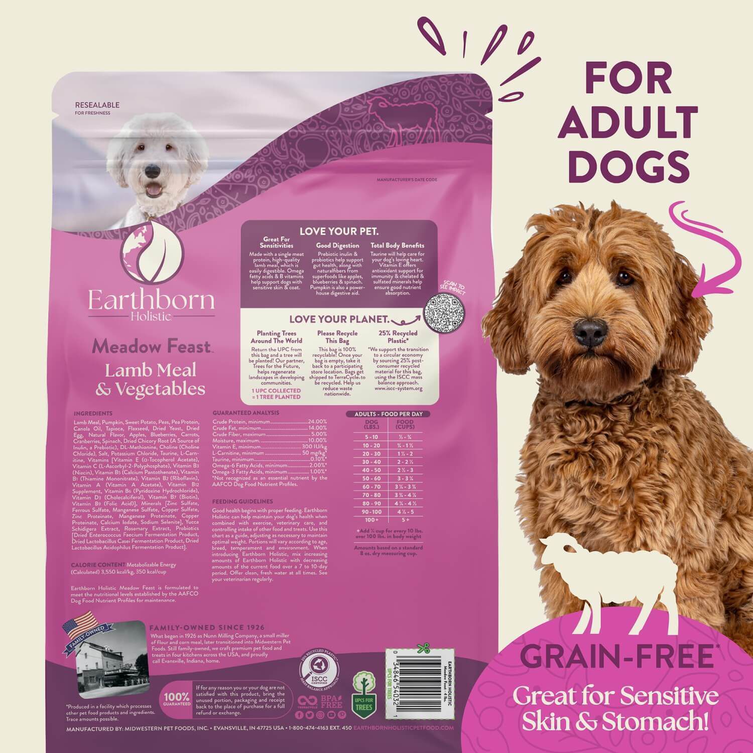 Earthborn Holistic Meadow Feast Grain-Free Dry Dog Food Lamb Meal & Vegetables 25-Lb Bag