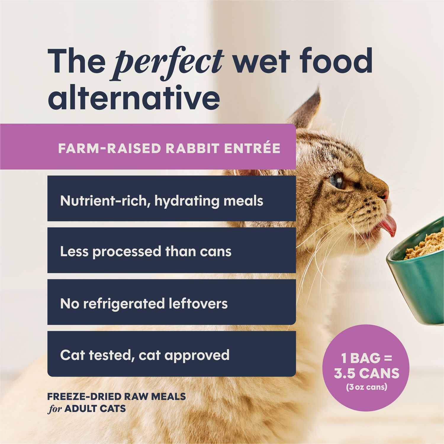 Instinct Freshdried Pates Grain-Free Freeze-Dried Raw Adult Cat Food, Farm-Raised Rabbit Entr&eacute;e, 13-Oz Bag