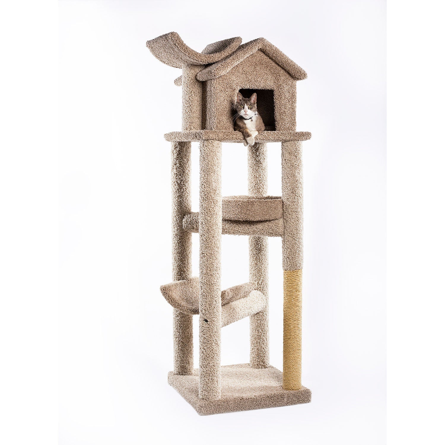 molly cat tree