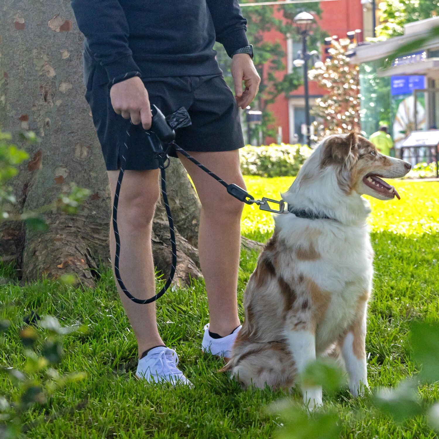Otr Durable Climbing Rope Material Durable & Reflective Dog Leash, Black, 6'