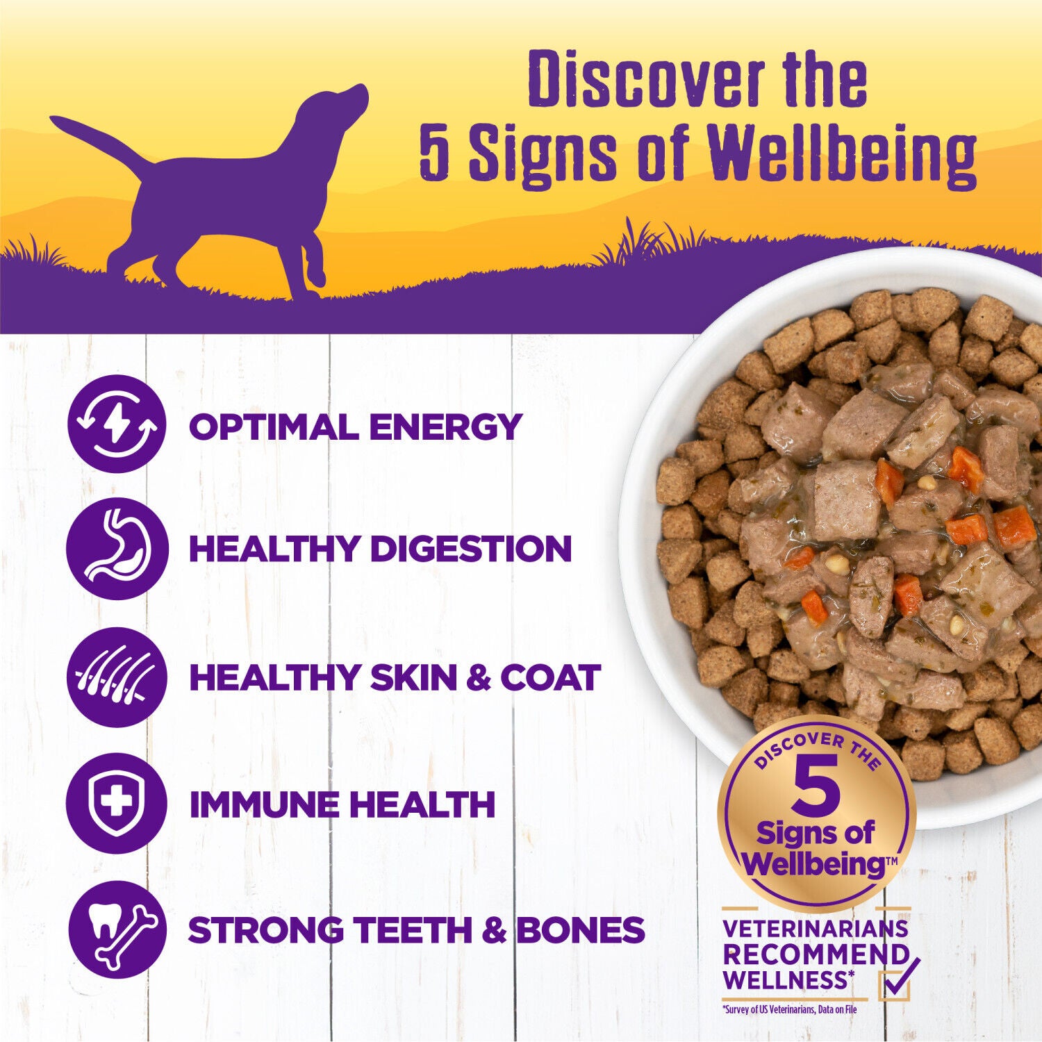 Wellness Thick & Chunky Natural Wet Dog Food, Lamb & Beef Stew, 12.5-Ounce Can