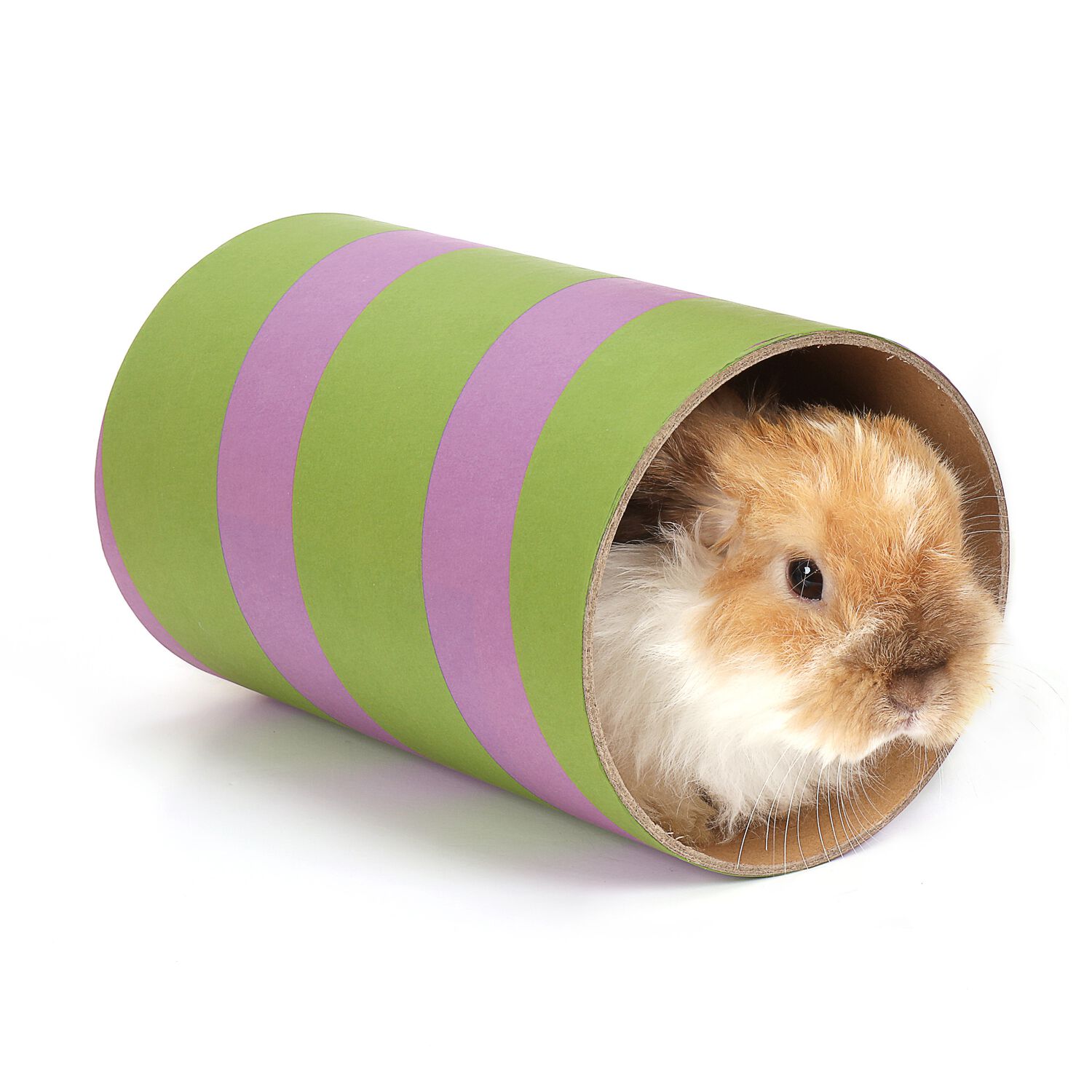 Ware Pet Products Tunnels Of Fun Large Small Animal Tunnel Hideaway