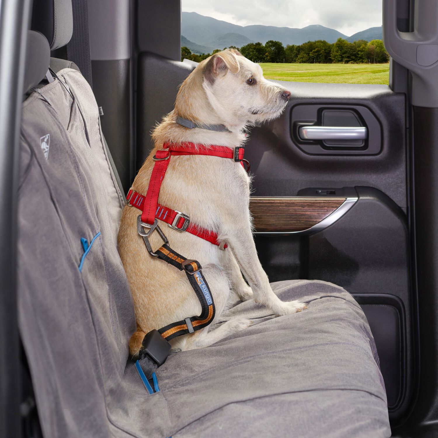 Kurgo Direct To Seatbelt Adjustable Tether Dog Seatbelt, 1-Each
