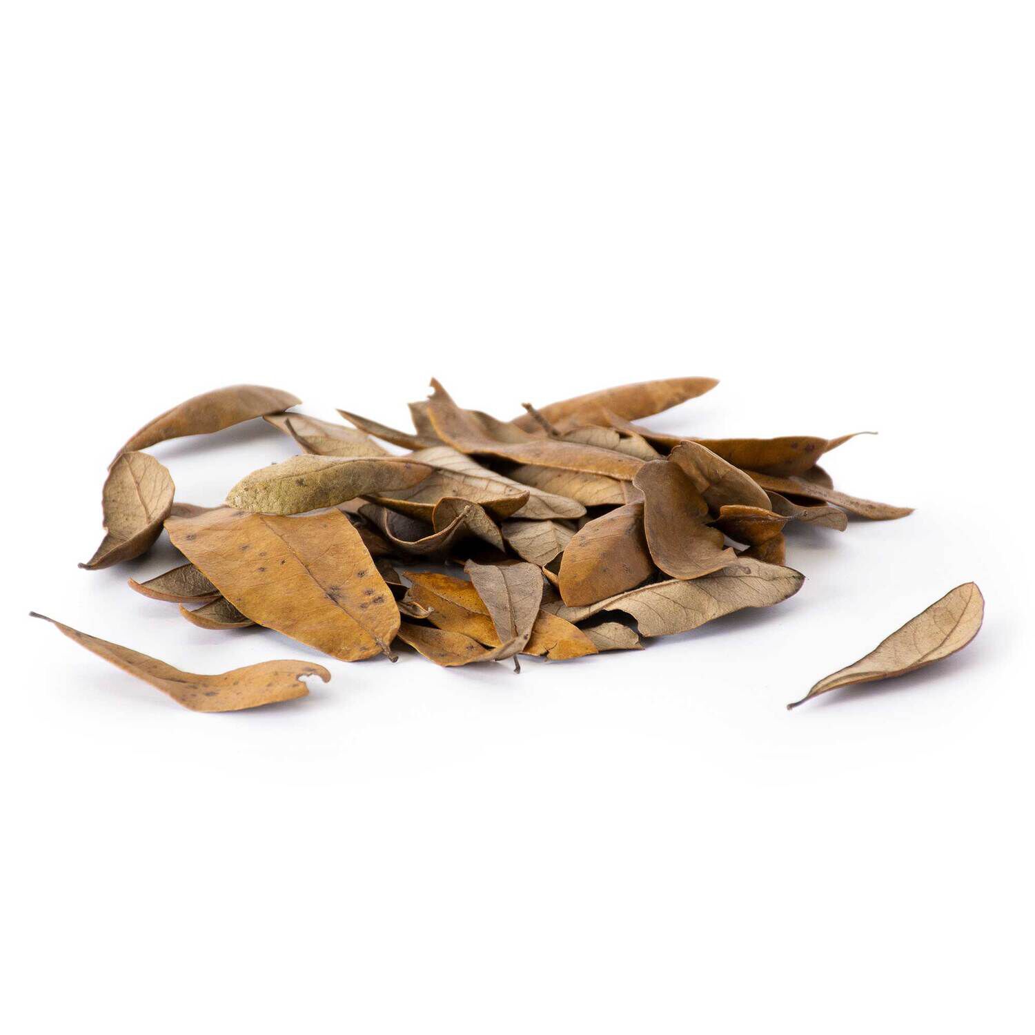 Gal&aacute;pagos Live Oak Leaves Habitat Substate, Natural, 4Qt Header Bag