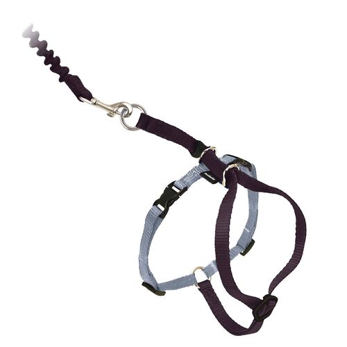 Come With Me Kitty Harness And Bungee Leash