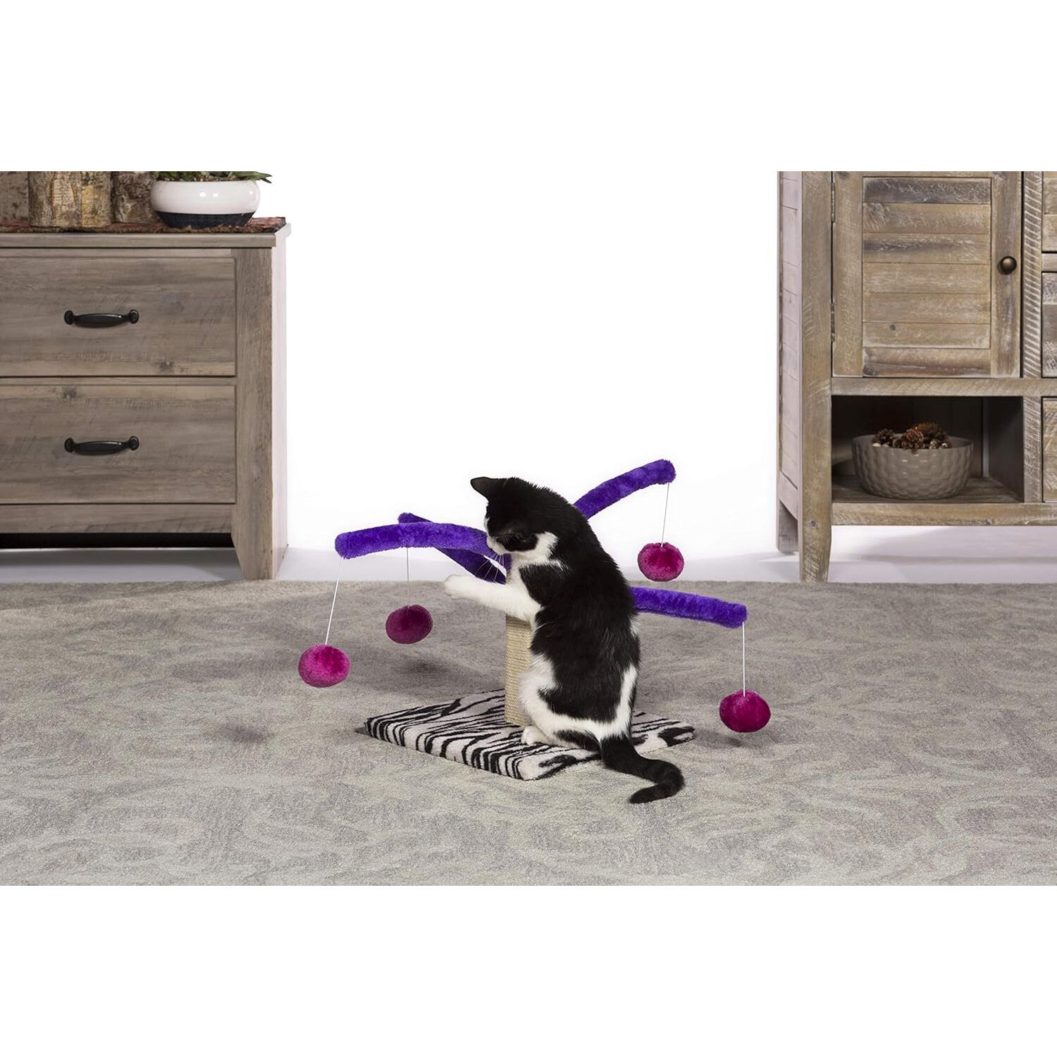 Prevue Pet Products Bounce 'N Spring Cat Scratcher, Multi-Color